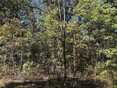 Discover 11 m/l wooded acres with gently rolling terrain - an - photo 15