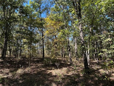 Discover 11 m/l wooded acres with gently rolling terrain - an - photo 16