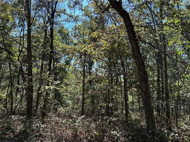 Discover 11 m/l wooded acres with gently rolling terrain - an - photo 17