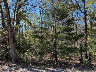 Discover 11 m/l wooded acres with gently rolling terrain - an - photo 18