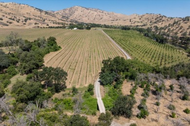 Waterfront Ranch in Solano County, CA for Sale - 128 Acres - photo 5