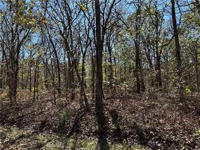 Discover 11 m/l wooded acres with gently rolling terrain - an - photo 19