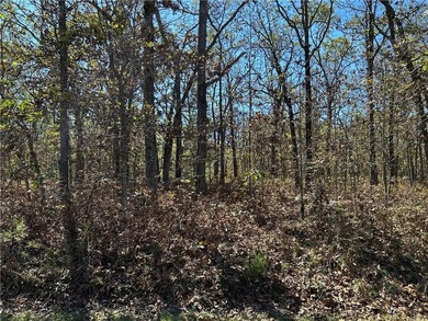 Discover 11 m/l wooded acres with gently rolling terrain - an - photo 20