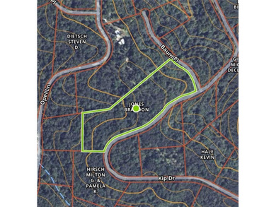 Discover 11 m/l wooded acres with gently rolling terrain - an - photo 21