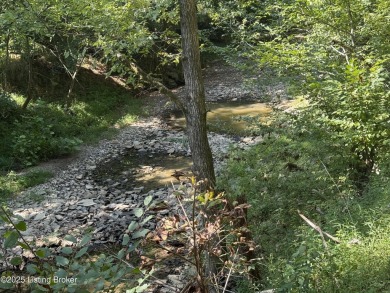 (private lake, pond, creek) Acreage For Sale in Lawrenceburg Kentucky