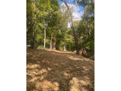 BEAUTIFUL, Waterfront, Private 5.5 +/- acres - photo 6