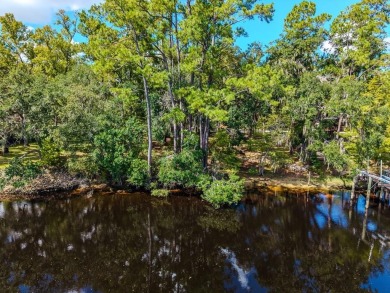 Lake Lot For Sale in Old Town, Florida