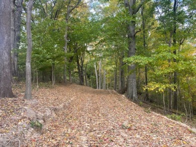 BEAUTIFUL, Waterfront, Private 5.5 +/- acres - photo 7