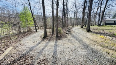 Lakefront Living w/ Income Potential on Rough River Lake! - photo 13