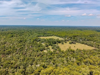 Suwannee River Home For Sale in Old Town Florida