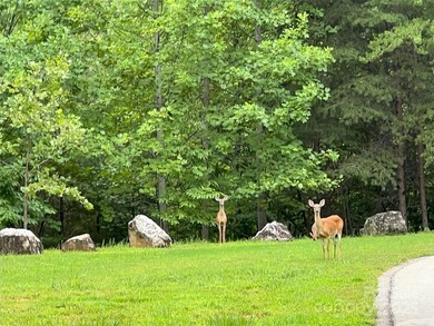 Private .97 acre lot with a stream in the highly desirable gated - photo 11