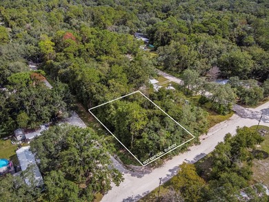 Suwannee River Lot For Sale in Old Town Florida