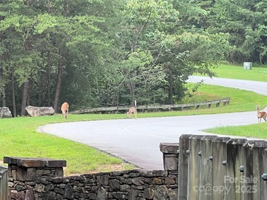 Private .97 acre lot with a stream in the highly desirable gated - photo 12
