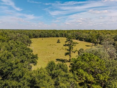 Suwannee River Acreage For Sale in Old Town Florida