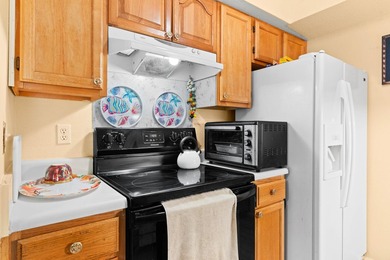 This ground floor 2-bedroom 2-bathroom unit is in one of the - photo 10