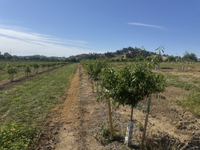 Waterfront Ranch in Solano County, CA for Sale - 128 Acres - photo 29
