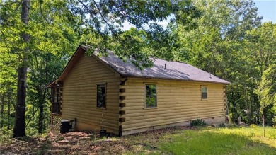 Lake Home For Sale in Ellijay, Georgia
