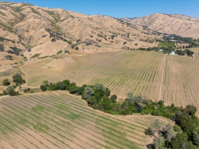 Waterfront Ranch in Solano County, CA for Sale - 128 Acres - photo 28