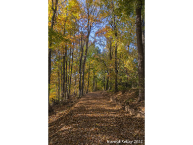 BEAUTIFUL, Waterfront, Private 5.5 +/- acres - photo 5