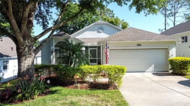 Lake Home For Sale in Clermont, Florida