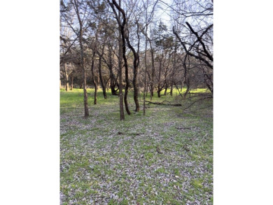 This semi-cleared lot features beautiful hardwoods with very few - photo 11