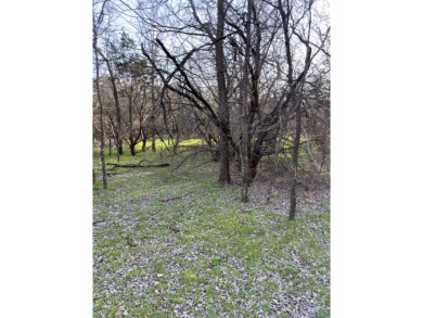 This semi-cleared lot features beautiful hardwoods with very few - photo 12