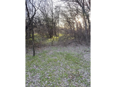 This semi-cleared lot features beautiful hardwoods with very few - photo 13
