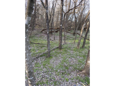 This semi-cleared lot features beautiful hardwoods with very few - photo 14