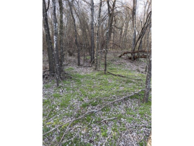 This semi-cleared lot features beautiful hardwoods with very few - photo 15