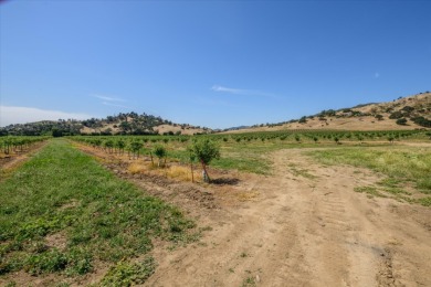 Waterfront Ranch in Solano County, CA for Sale - 128 Acres - photo 22