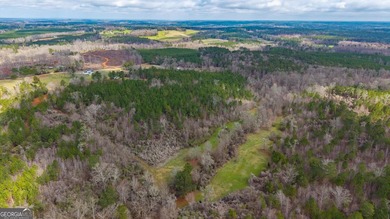 Tucked away on 102 acres of beautiful hardwoods, this property - photo 20