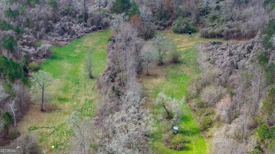 Tucked away on 102 acres of beautiful hardwoods, this property - photo 21