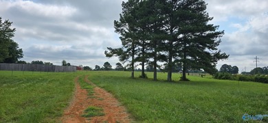 (private lake, pond, coastal) Acreage For Sale in Athens Alabama