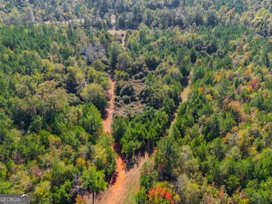 Tucked away on 102 acres of beautiful hardwoods, this property - photo 23