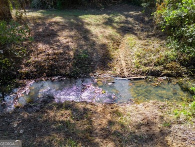 Tucked away on 102 acres of beautiful hardwoods, this property - photo 24