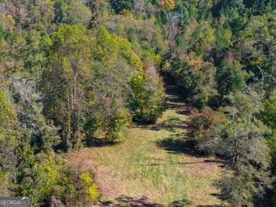 Tucked away on 102 acres of beautiful hardwoods, this property - photo 26