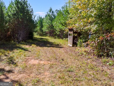 Tucked away on 102 acres of beautiful hardwoods, this property - photo 27
