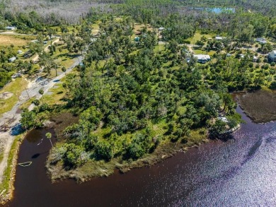 (private lake, pond, creek) Acreage For Sale in Steinhatchee Florida