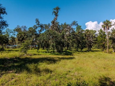 Tucked away in Jena, this 5.43-acre tract made up of three - photo 6