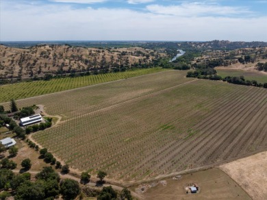 Waterfront Ranch in Solano County, CA for Sale - 128 Acres - photo 25