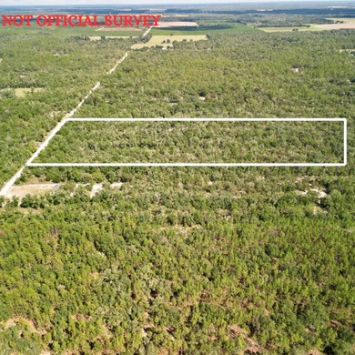 Suwannee River Acreage For Sale in Bell Florida