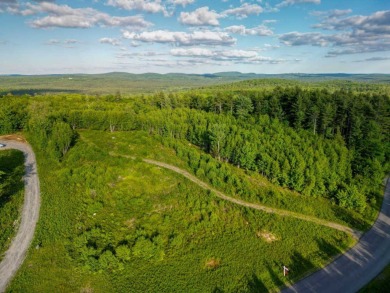 Lake Lot For Sale in Naples, Maine