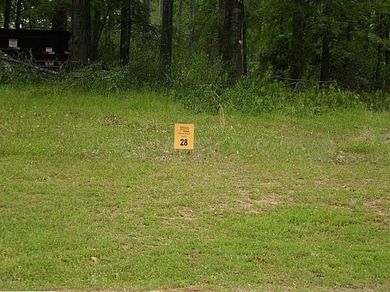 See 96538 Mineral Rights Reserved. Beautiful West Shreveport Lot - photo 1