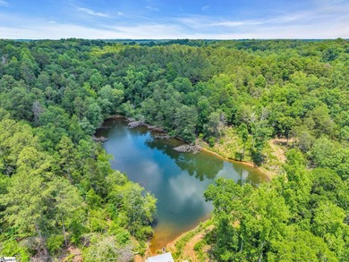 51 Acres with 2700+/- feet of Lake Frontage on Lake Blalock!! - photo 4