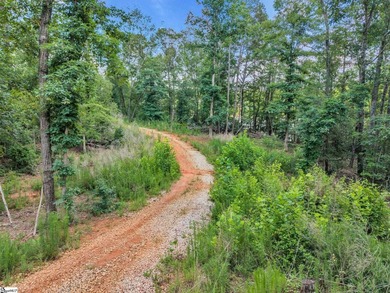 51 Acres with 2700+/- feet of Lake Frontage on Lake Blalock!! - photo 5