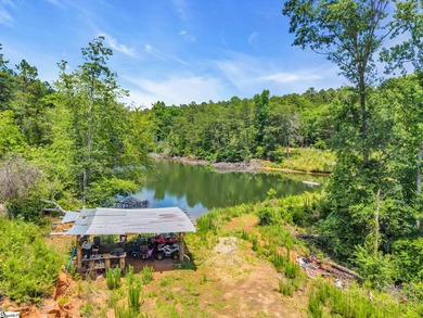 51 Acres with 2700+/- feet of Lake Frontage on Lake Blalock!! - photo 6