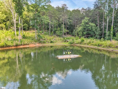 51 Acres with 2700+/- feet of Lake Frontage on Lake Blalock!! - photo 7