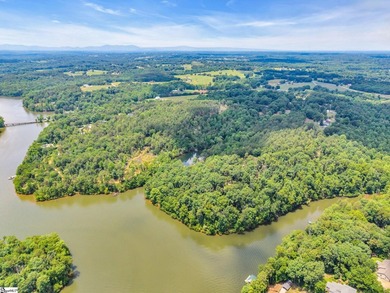 51 Acres with 2700+/- feet of Lake Frontage on Lake Blalock!! - photo 8