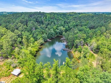 51 Acres with 2700+/- feet of Lake Frontage on Lake Blalock!! - photo 9