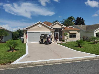Lake Home For Sale in The Villages, Florida